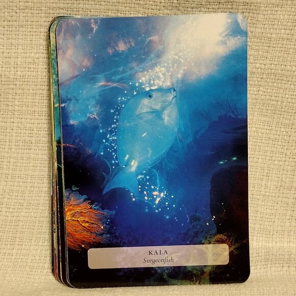 The Hawaiian Oracle - Picture 9 of 14